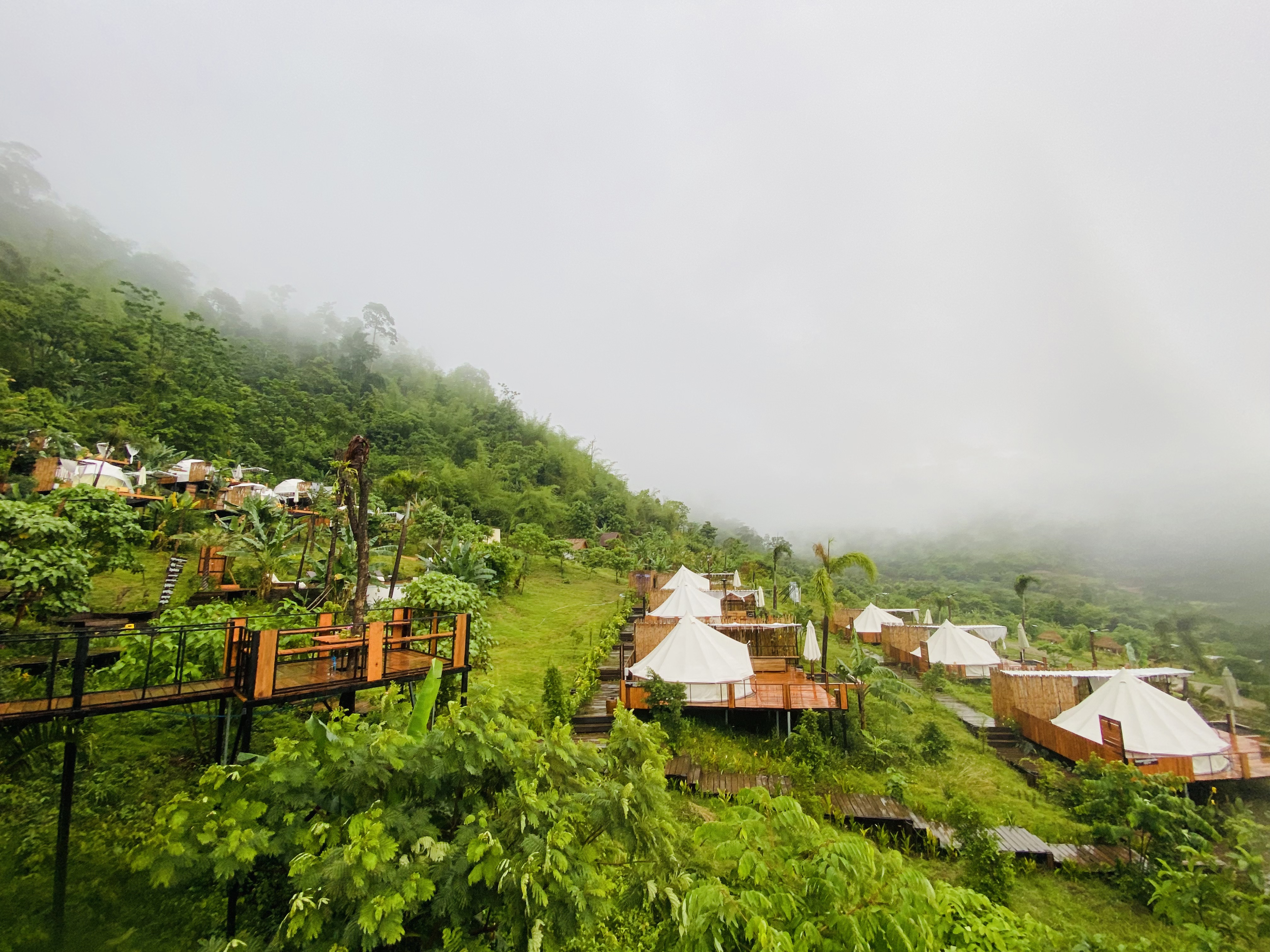 Nature View